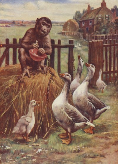 Skuffet af English School